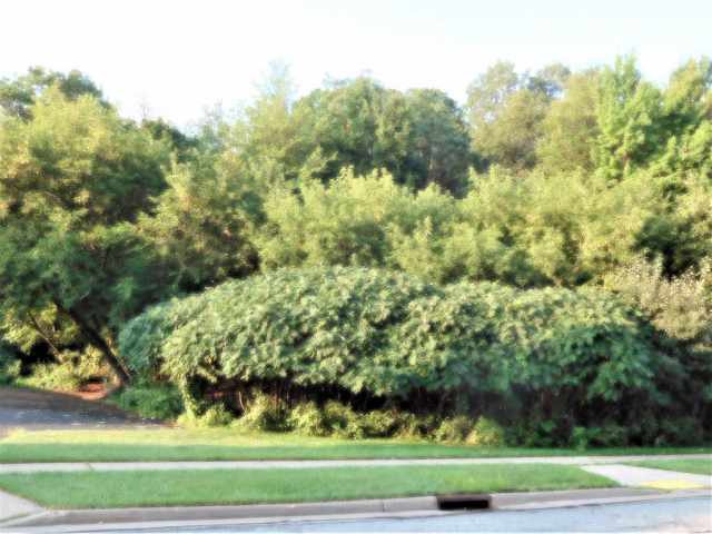 Eau Claire Multifamily Real Estate
