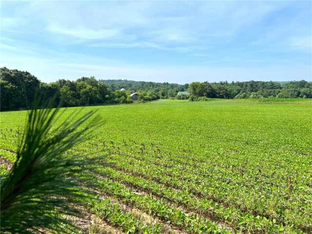 Black River Falls Land Real Estate