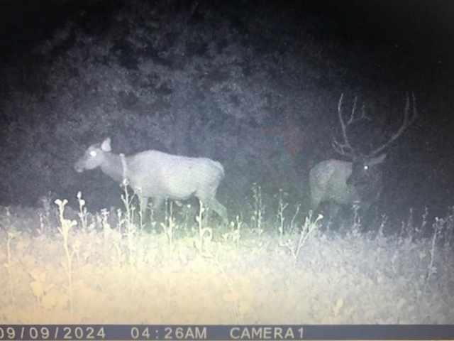 Black River Falls Land Real Estate