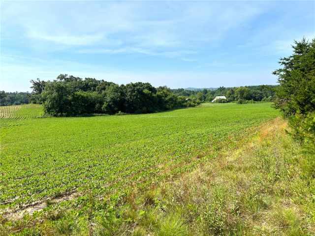 Black River Falls Land Real Estate