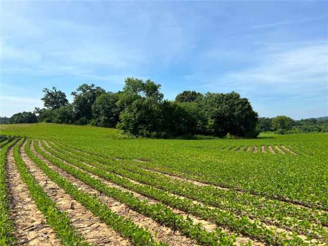 Black River Falls Land Real Estate