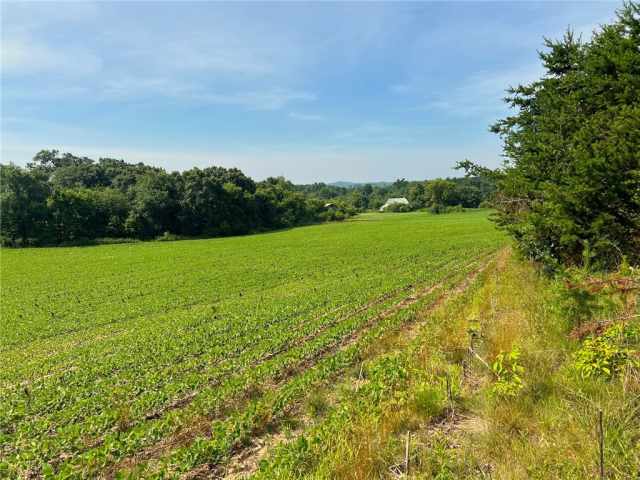 Black River Falls Land Real Estate