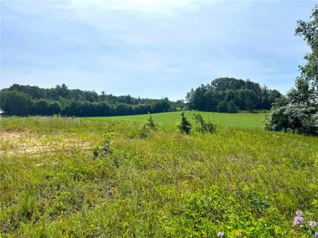 Black River Falls Land Real Estate