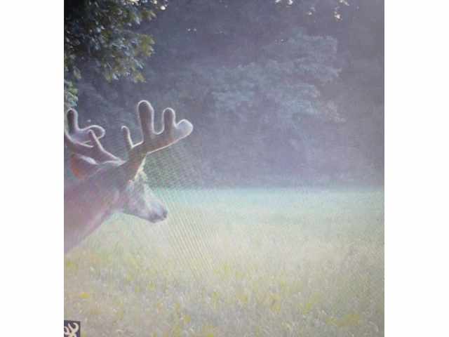 Black River Falls Land Real Estate