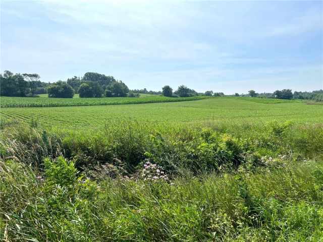 Black River Falls Land Real Estate