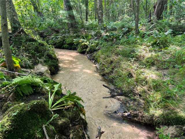 Black River Falls Land Real Estate