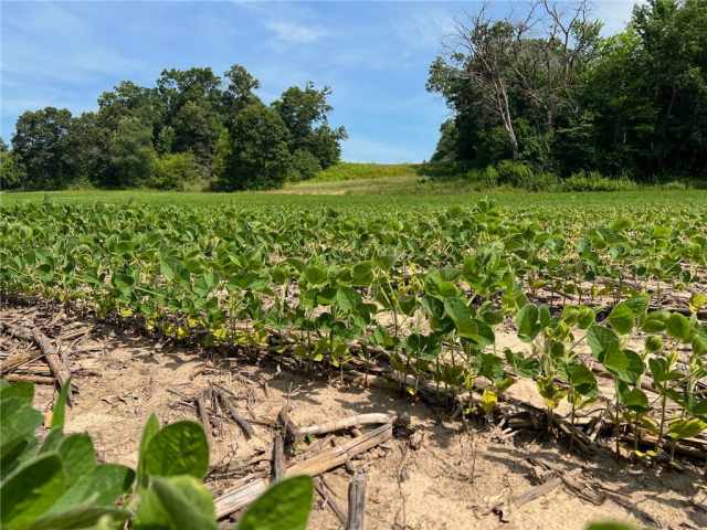 Black River Falls Land Real Estate