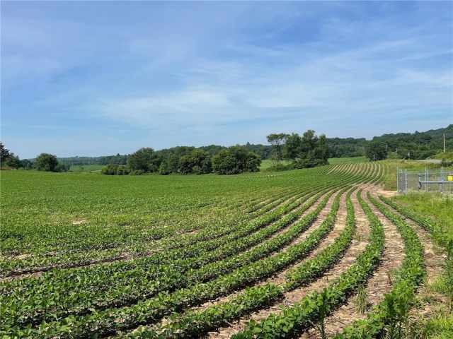 Black River Falls Land Real Estate