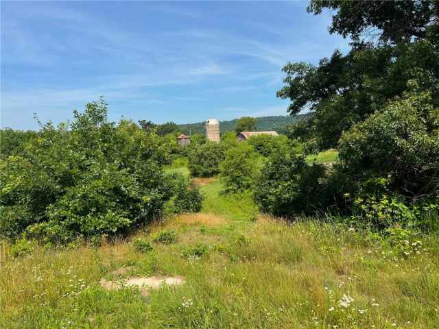 Black River Falls Land Real Estate