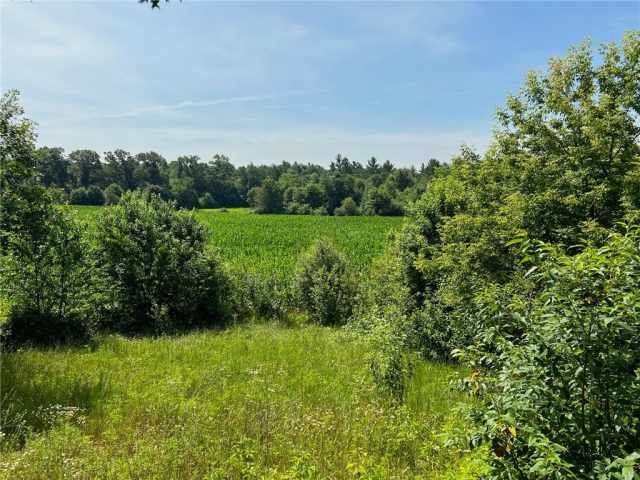 Black River Falls Land Real Estate