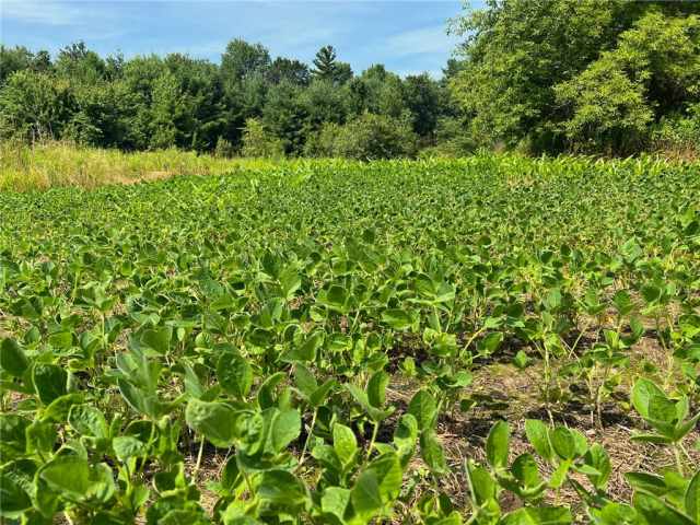 Black River Falls Land Real Estate