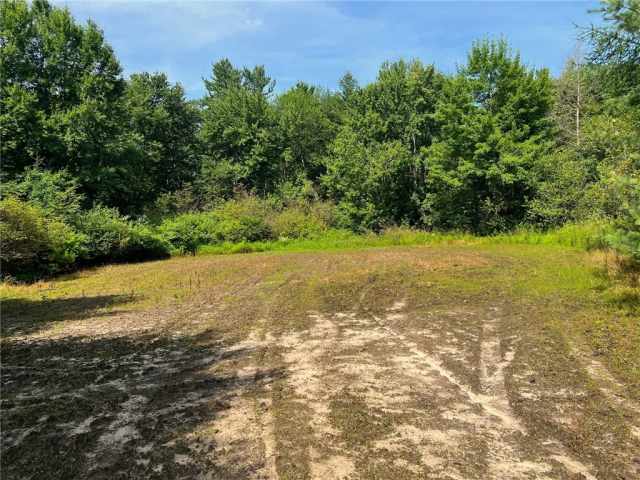 Black River Falls Land Real Estate