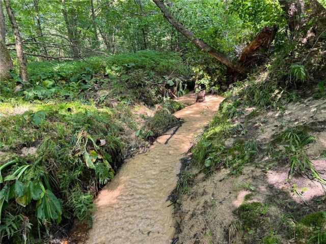 Black River Falls Land Real Estate