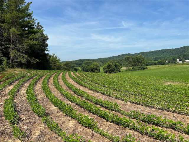 Black River Falls Land Real Estate