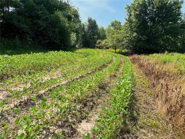 Black River Falls Land Real Estate