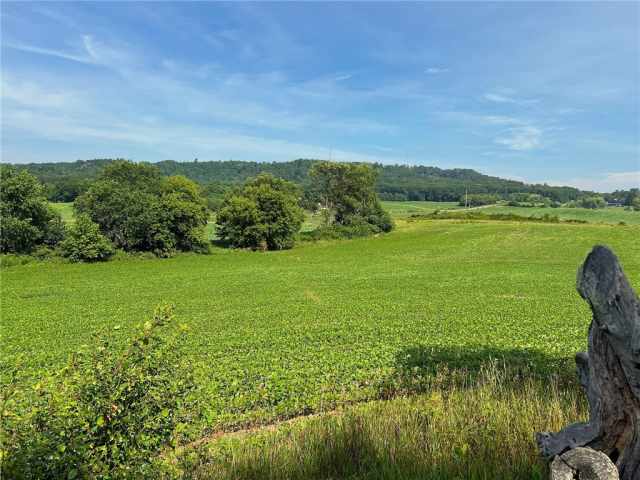 Black River Falls Land Real Estate
