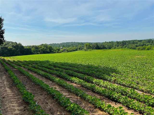 Black River Falls Land Real Estate