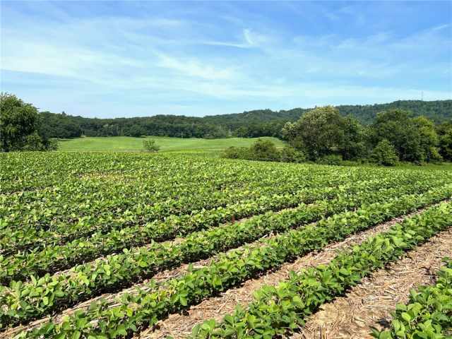 Black River Falls Land Real Estate