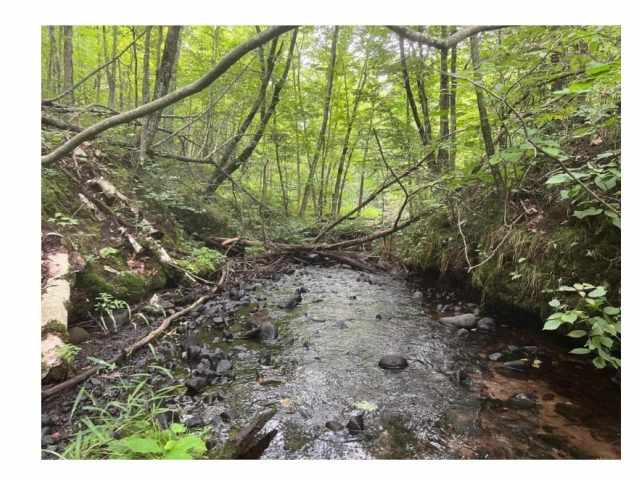 Stone Lake Land Real Estate