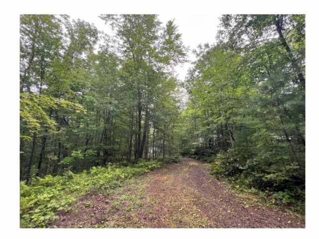 Stone Lake Land Real Estate