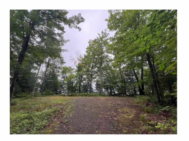 Stone Lake Land Real Estate