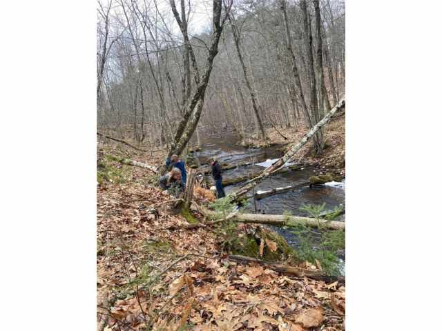 Stone Lake Land Real Estate