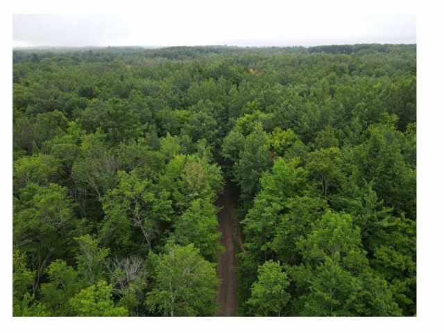 Stone Lake Land Real Estate