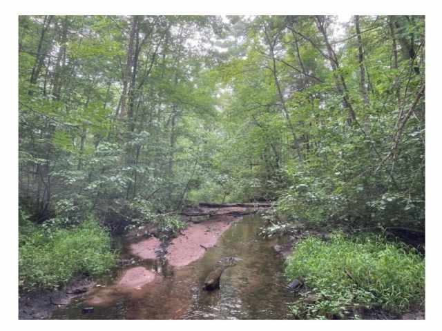 Stone Lake Land Real Estate