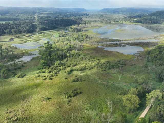 Alma Land Real Estate
