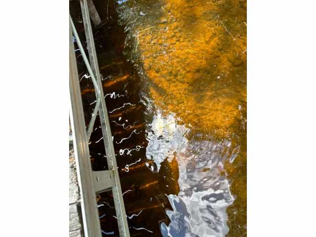 Hayward Residential Real Estate