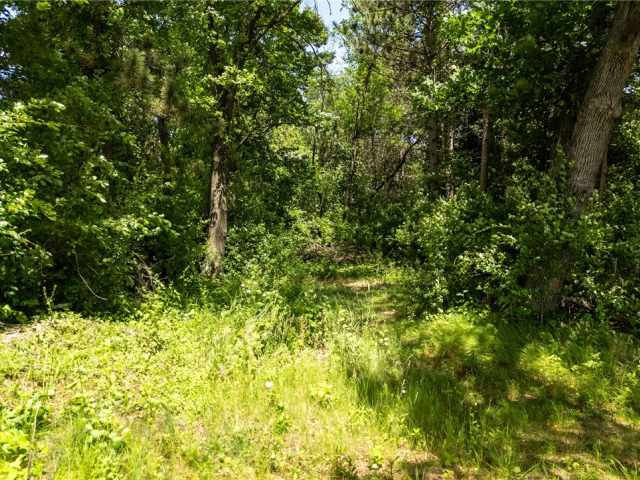 Chippewa Falls Land Real Estate