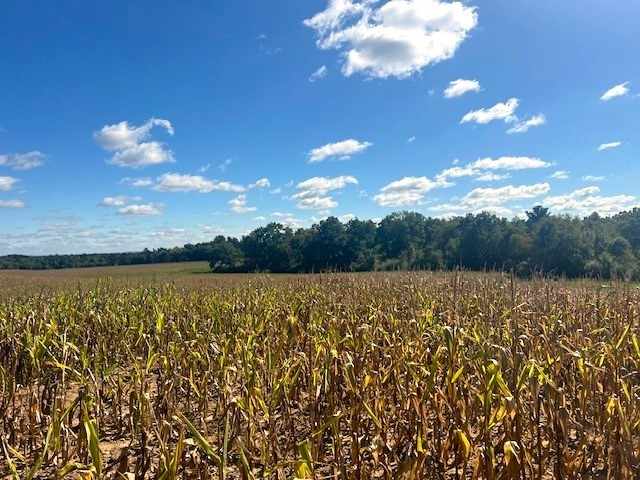 Black River Falls Land Real Estate