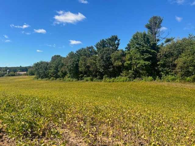 Black River Falls Land Real Estate