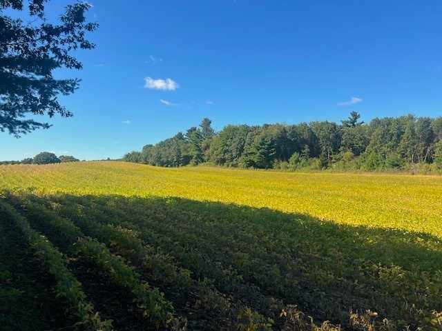 Black River Falls Land Real Estate