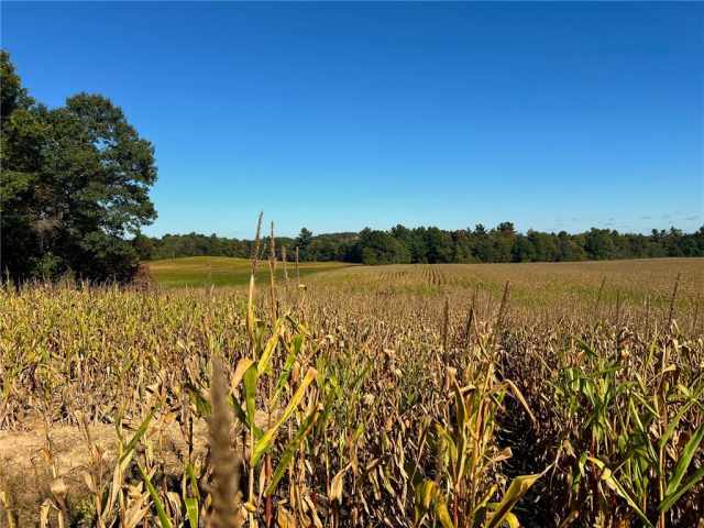 Black River Falls Land Real Estate
