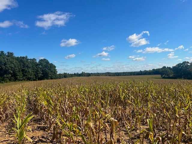 Black River Falls Land Real Estate