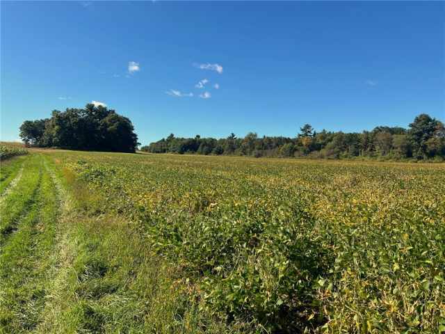Black River Falls Land Real Estate