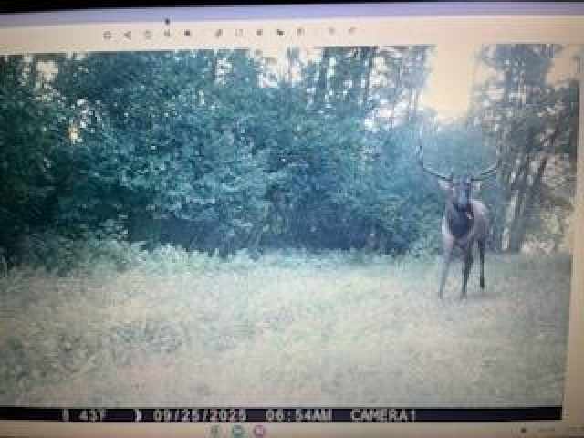 Black River Falls Land Real Estate