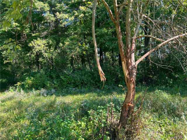 Black River Falls Land Real Estate