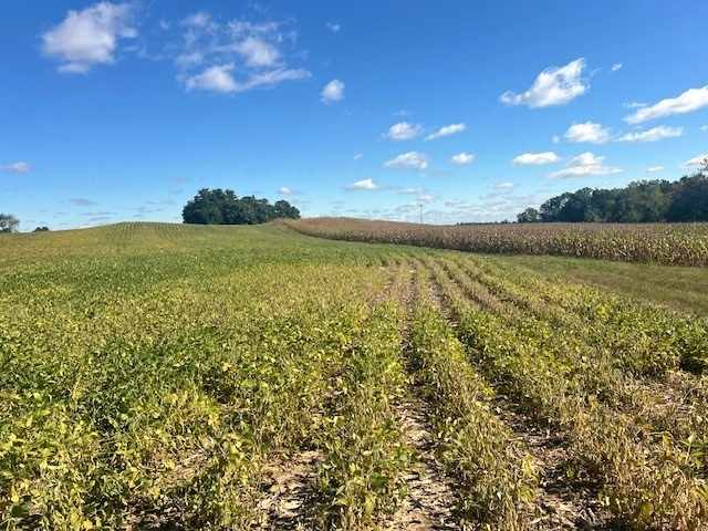 Black River Falls Land Real Estate