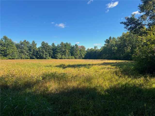 Black River Falls Land Real Estate