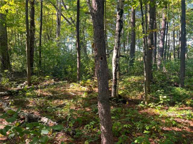Black River Falls Land Real Estate