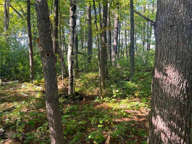 Black River Falls Land Real Estate