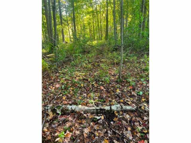 Black River Falls Land Real Estate