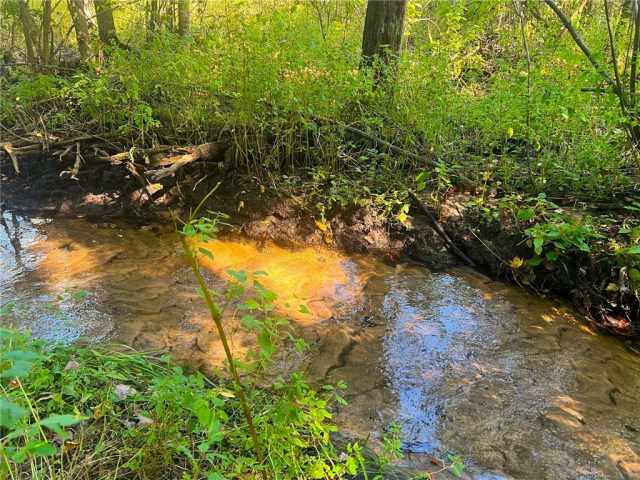Black River Falls Land Real Estate
