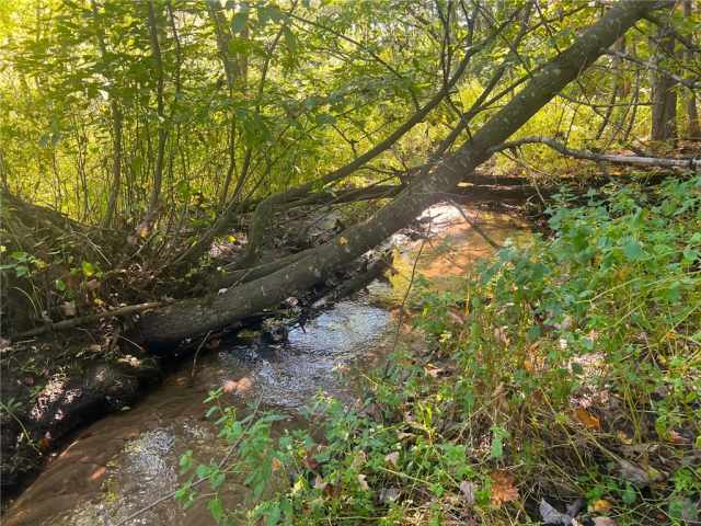 Black River Falls Land Real Estate