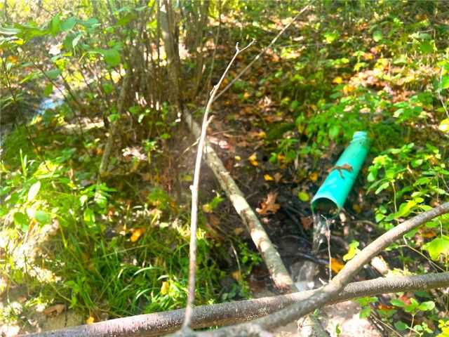 Black River Falls Land Real Estate