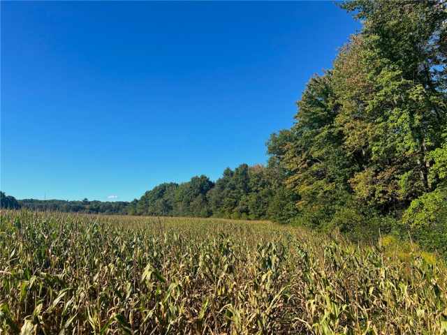 Black River Falls Land Real Estate