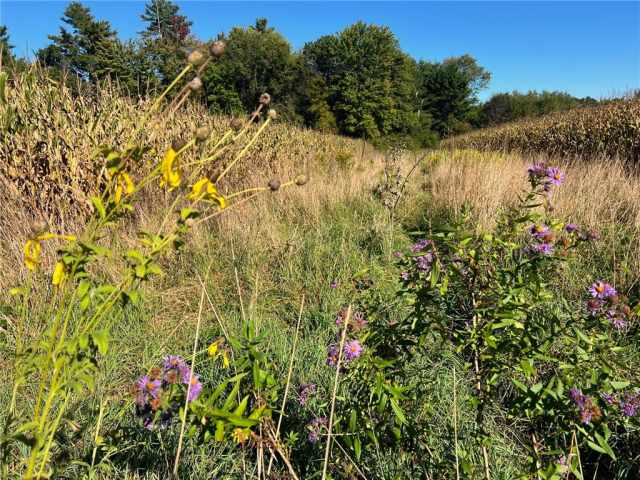 Black River Falls Land Real Estate