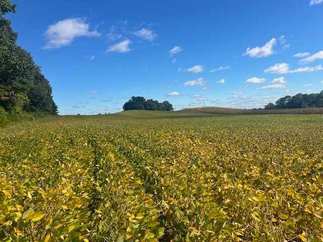 Black River Falls Land Real Estate